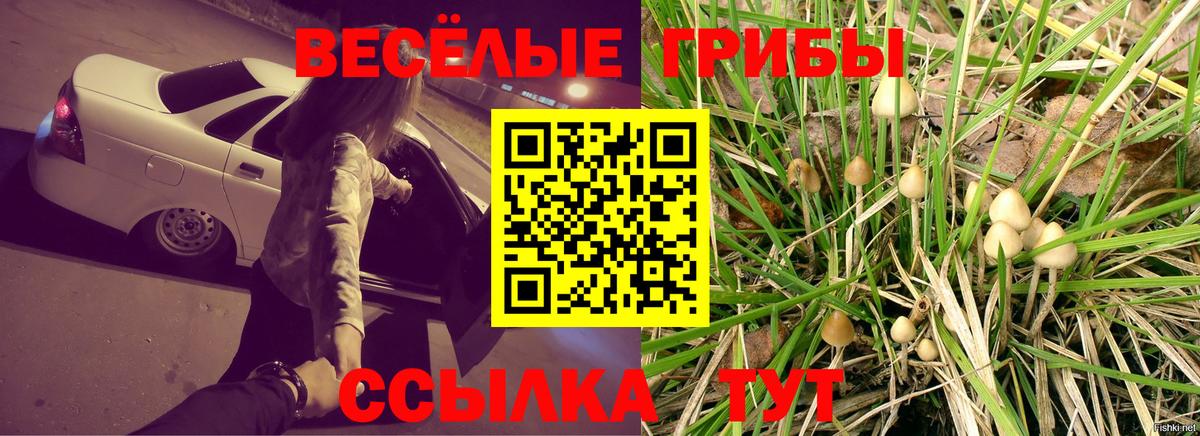 Галлюциногенные грибы Асино