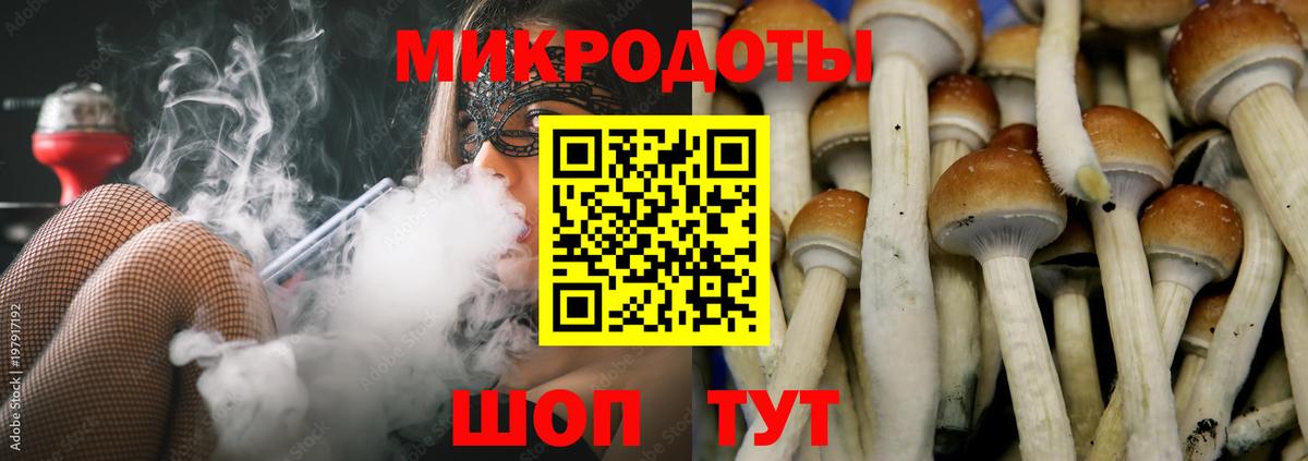 Псилоцибиновые грибы прущие грибы  Вход с VPN  купить наркотики сайты  Асино 